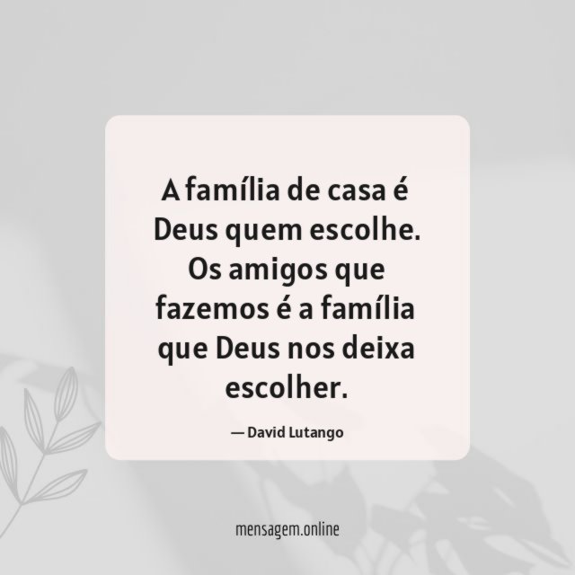 Frase: Família é quem respeita você, seu sangue até o pernilongo tem 😉