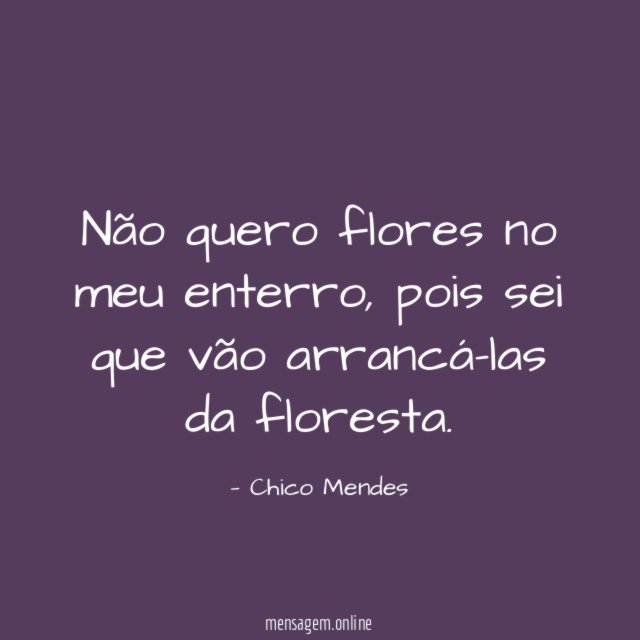 FRASES CURTA SOBRE FLORES já pensou se não fossem as flores que