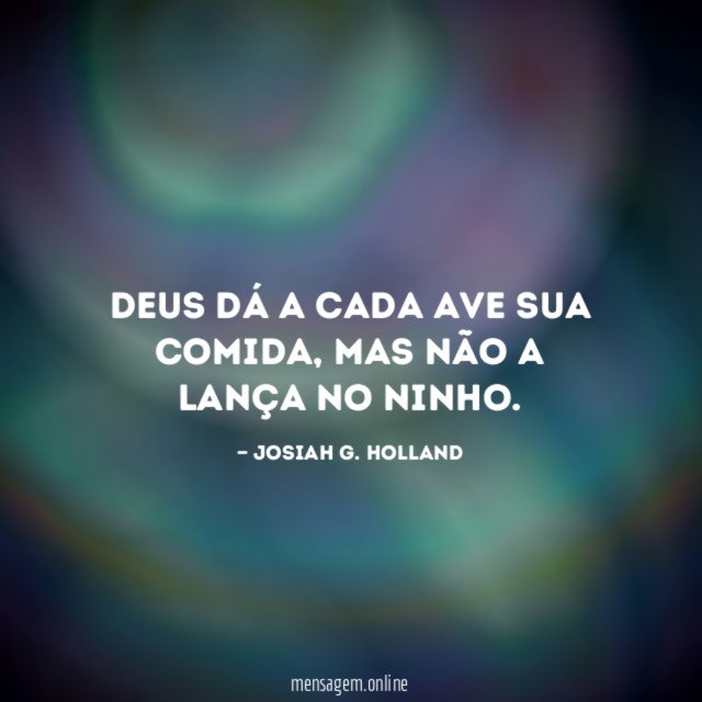 Deus dá a cada ave sua comida