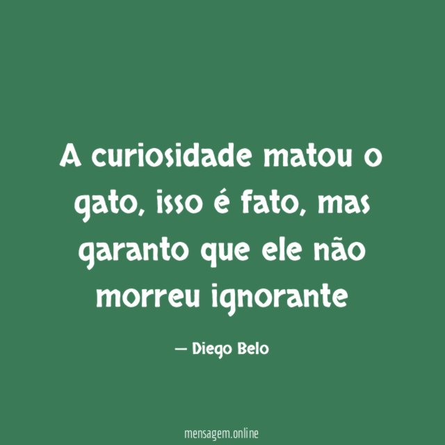 Curiosidade A Curiosidade Matou O Gato 9933