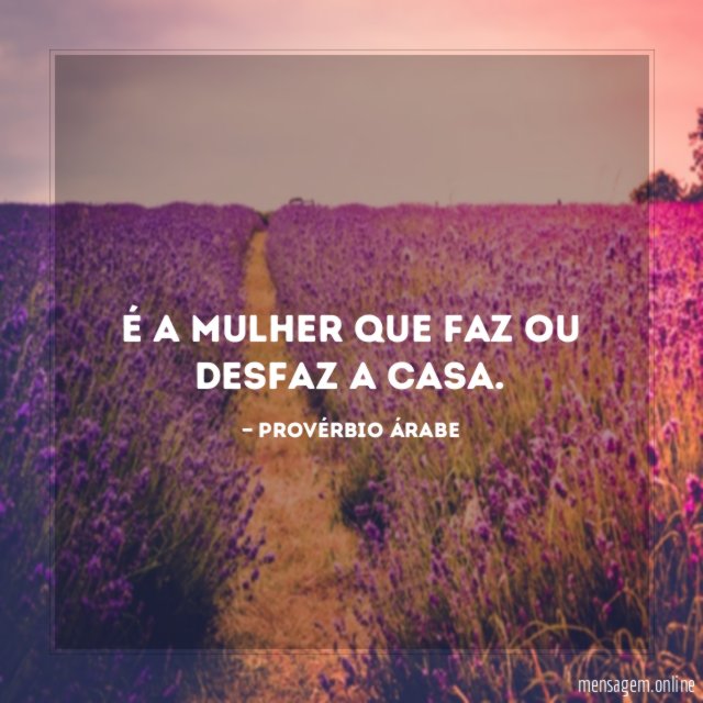 BLOGDOMACEDOⓂ️ on X: AMIGOS GASTEI MEU ÁRABE PARA COLHER A