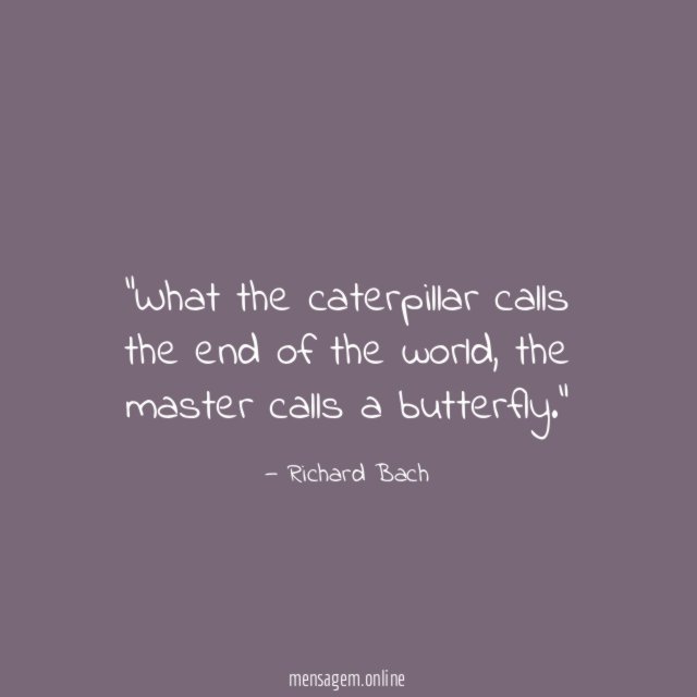 What the caterpillar calls the end of the world