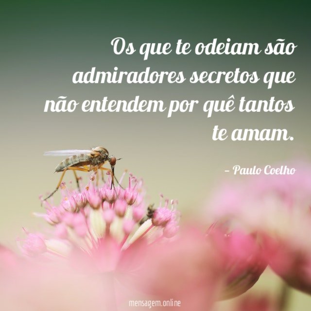 POEMAS DE ADMIRAÇÃO - Os que te odeiam são admiradores secretos que